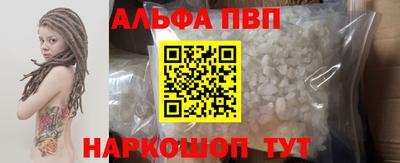 тгк Кингисепп