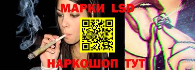 тгк Кингисепп