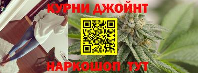 тгк Кингисепп