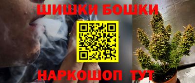 тгк Кингисепп