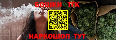 тгк Кингисепп