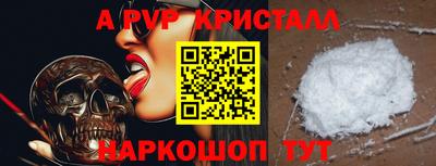 тгк Кингисепп