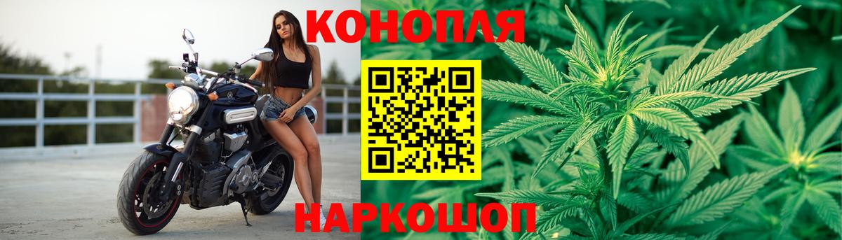 Каннабис конопля Кропоткин